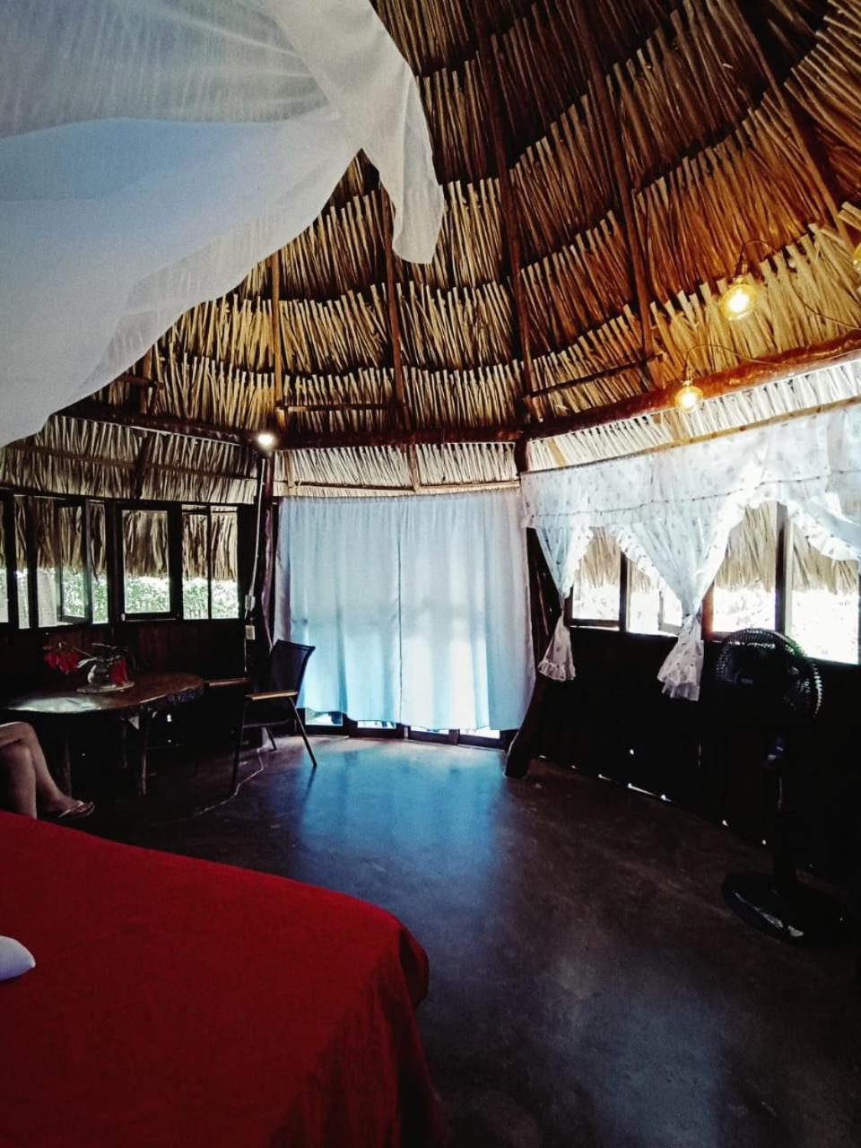 El Paraiso De Carmen Palomino Bagian luar foto
