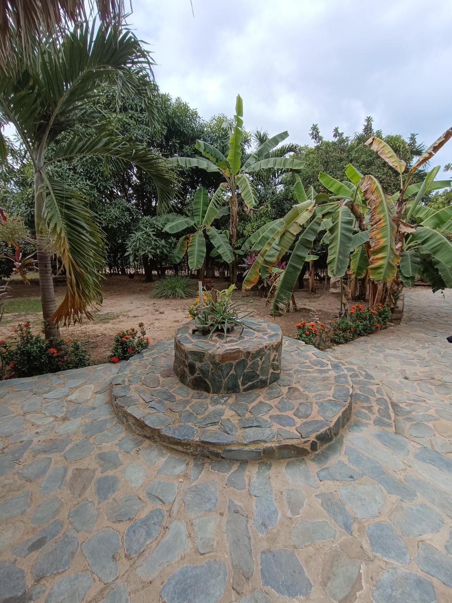 El Paraiso De Carmen Palomino Bagian luar foto