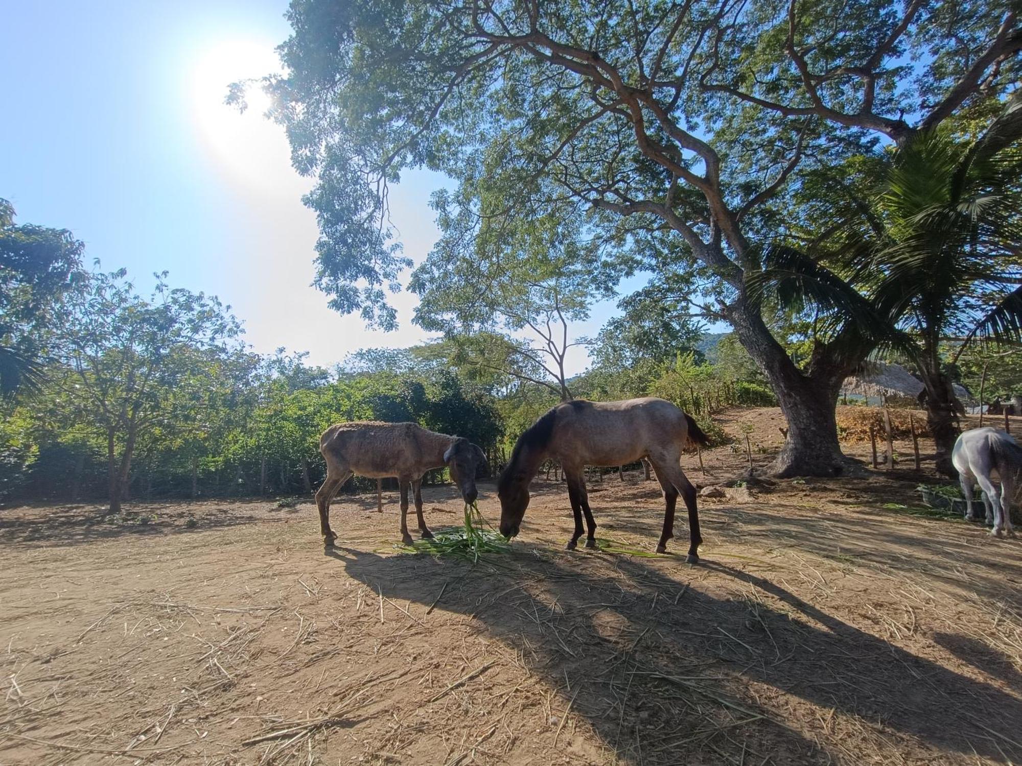 El Paraiso De Carmen Palomino Bagian luar foto